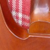 Dan Armstrong lower horn